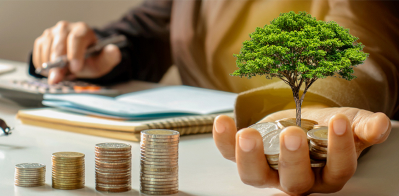 Các lựa chọn đầu tư không rủi ro, an toàn nhất tại Việt Nam