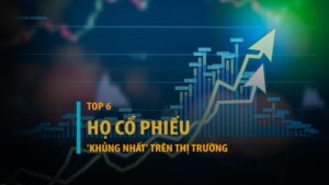 6 họ cổ phiếu khủng nhất trên thị trường chứng khoán Việt