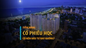 Cổ phiếu HQC có tiềm năng đầu tư trong 2026?