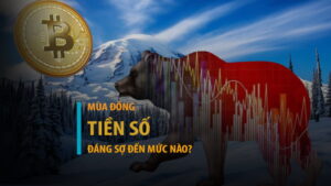 Mùa đông tiền số là gì? Mùa đông Crypto đáng sợ đến mức nào?