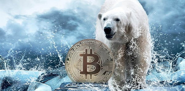 Mùa đông tiền số là gì? Mùa đông Crypto đáng sợ đến mức nào?