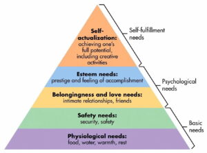 Tháp nhu cầu của Maslow là gì?