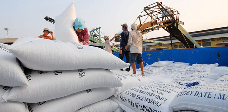 Top 7 quốc gia xuất khẩu gạo lớn nhất thế giới năm 2025