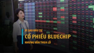 Vì sao tôi đầu tư cổ phiếu bluechip nhưng tôi vẫn thua lỗ?