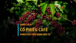 Danh sách các mã cổ phiếu cà phê và tiềm năng đầu tư