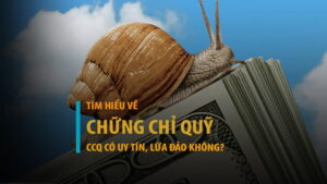 Chứng chỉ quỹ là gì? Chứng chỉ quỹ có uy tín, lừa đảo không?