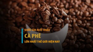 Top 10+ quốc gia xuất khẩu cà phê lớn nhất thế giới hiện nay
